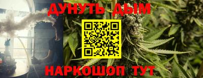 PSILOCYBIN Нальчик